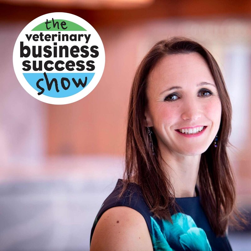 Artwork for podcast The Veterinary Leadership Success Show