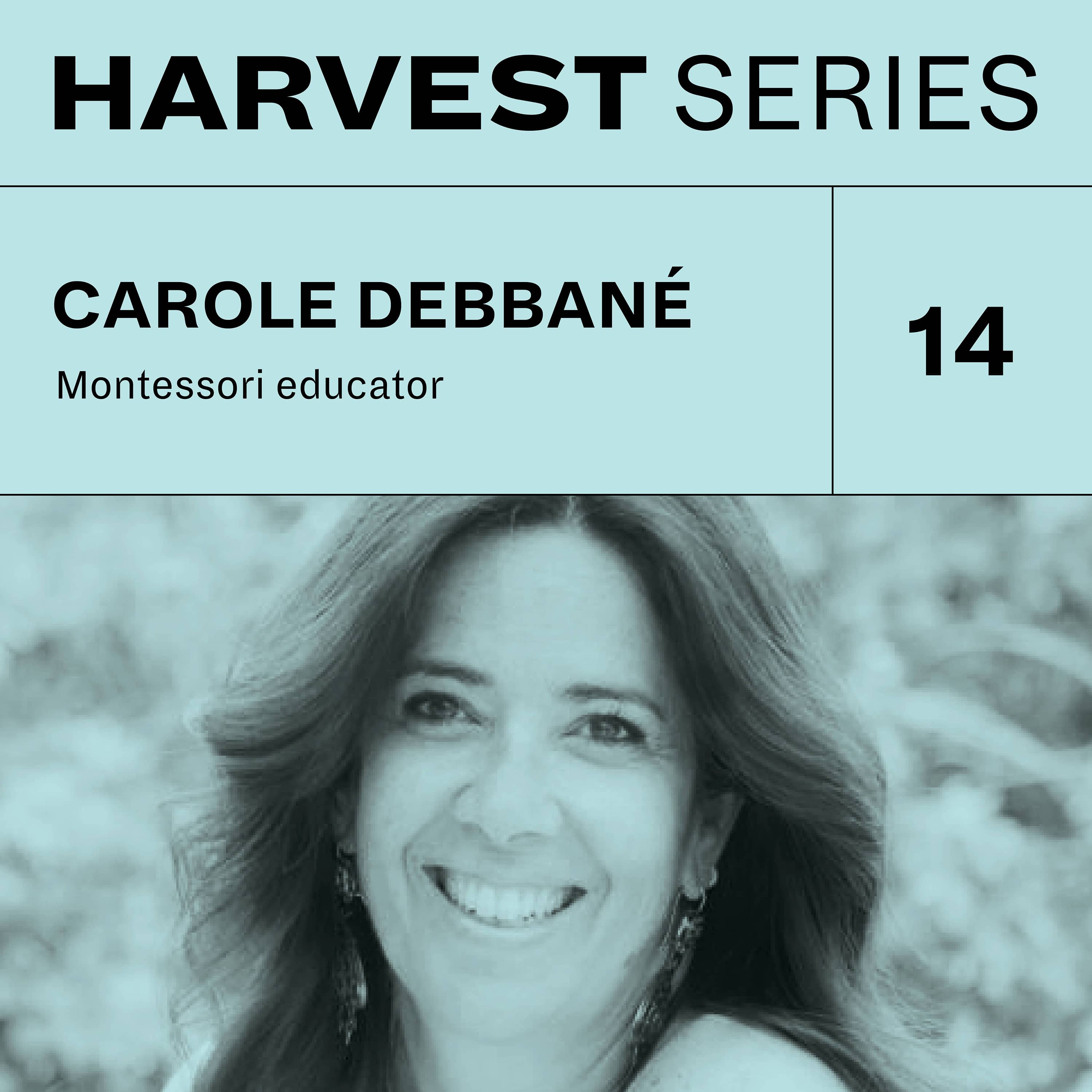 Harvest Series