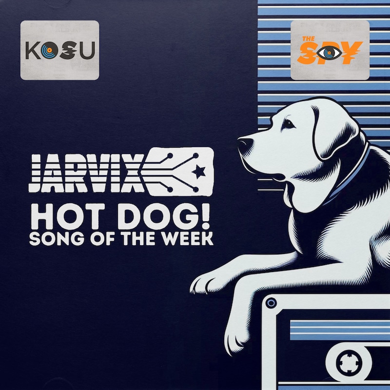 Artwork for podcast Jarvix's Hot Dog! Song of the Week