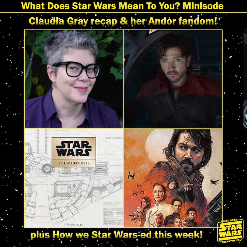 Artwork for podcast What Does Star Wars Mean To You?