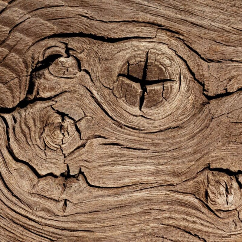 Artwork for podcast TheBigFatVoice Psicologia, Musica & Teatro