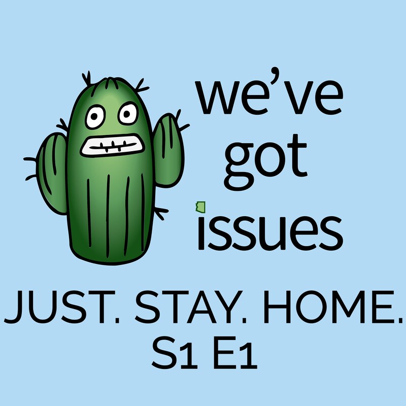 Artwork for podcast We’ve Got Issues