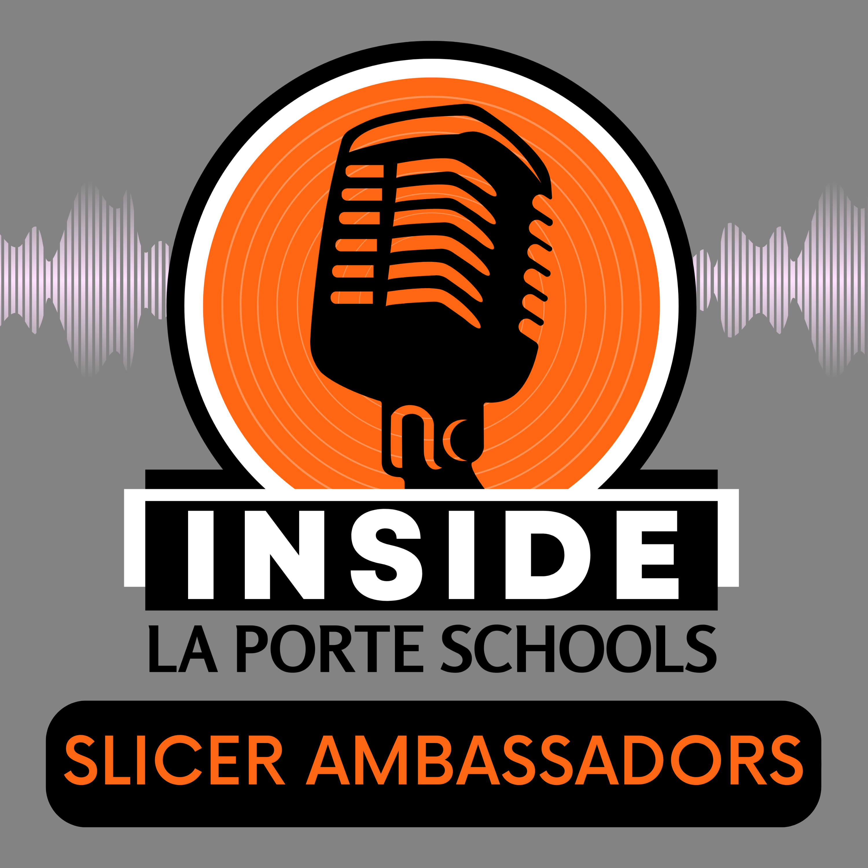 Inside the Slicer Ambassador Program