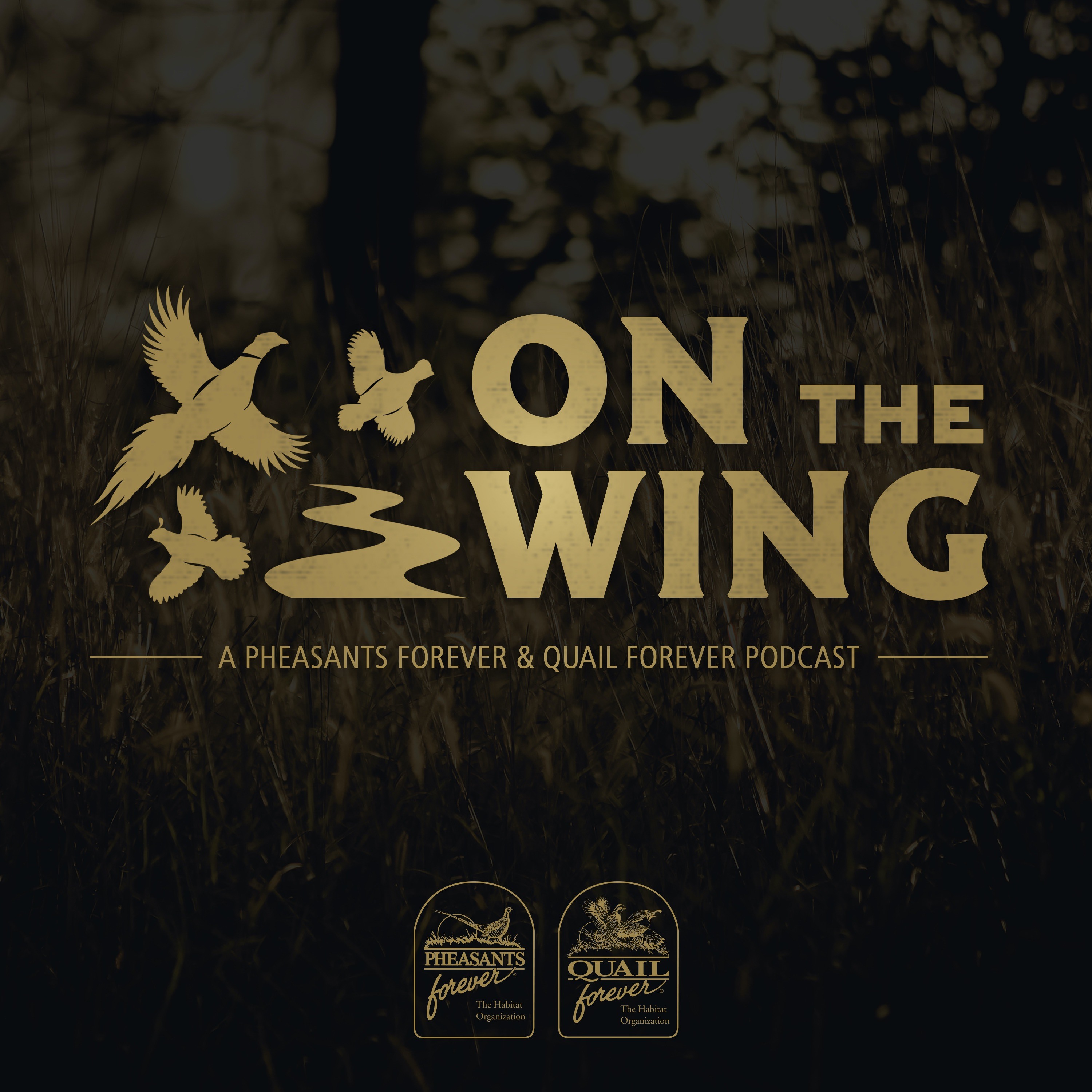 On The Wing Podcast