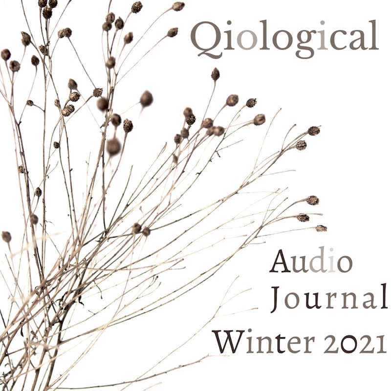 Artwork for podcast Qiological Podcast