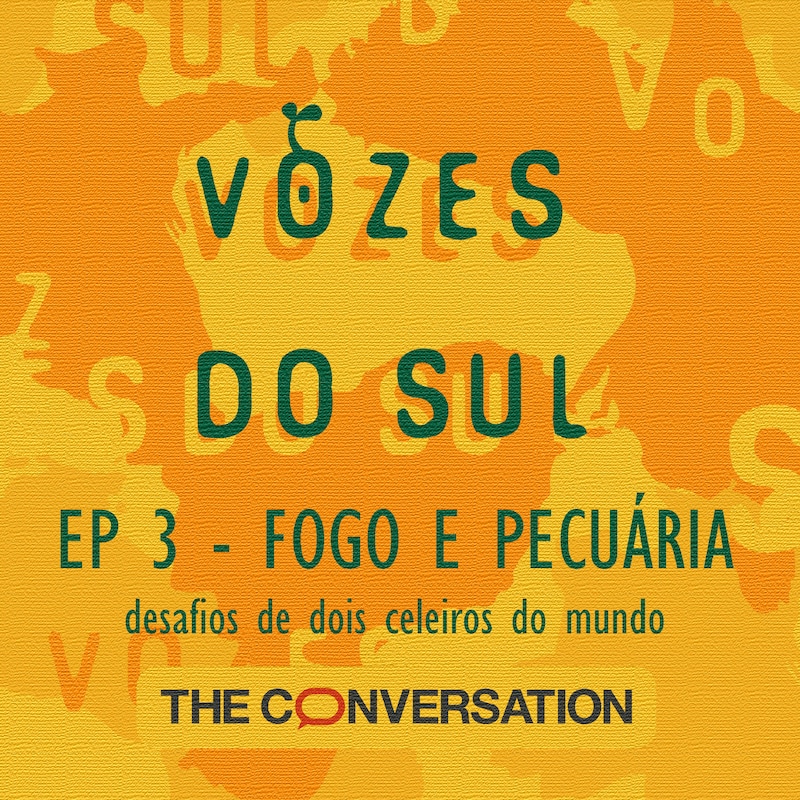 Artwork for podcast Vozes do Sul