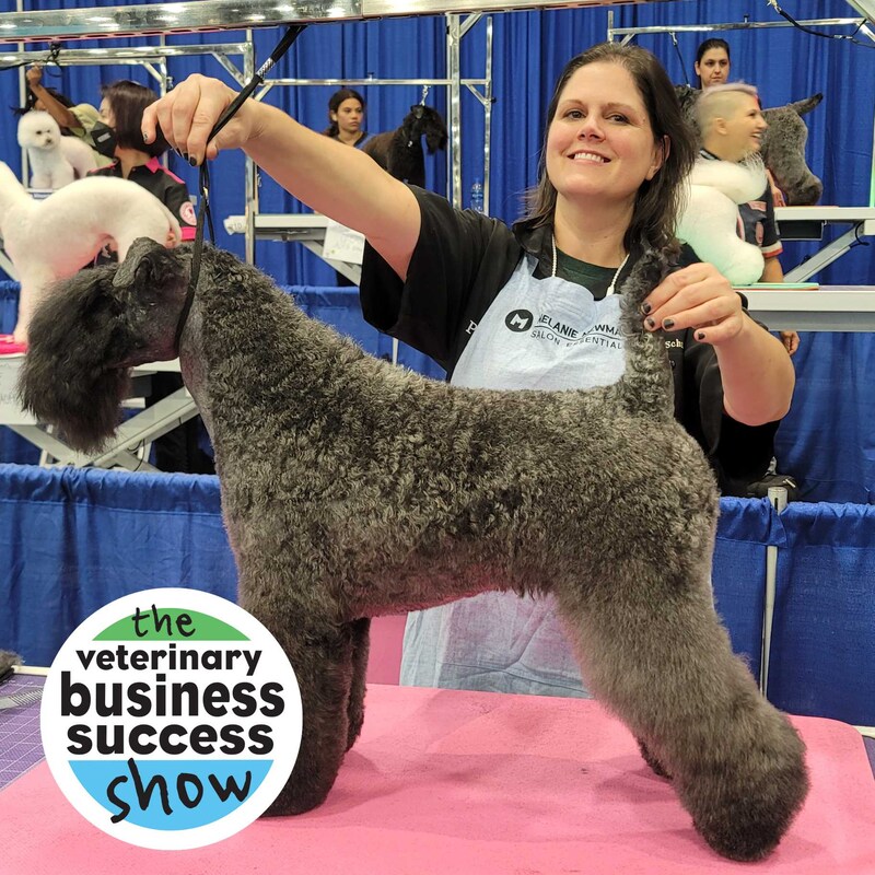 Artwork for podcast The Veterinary Leadership Success Show