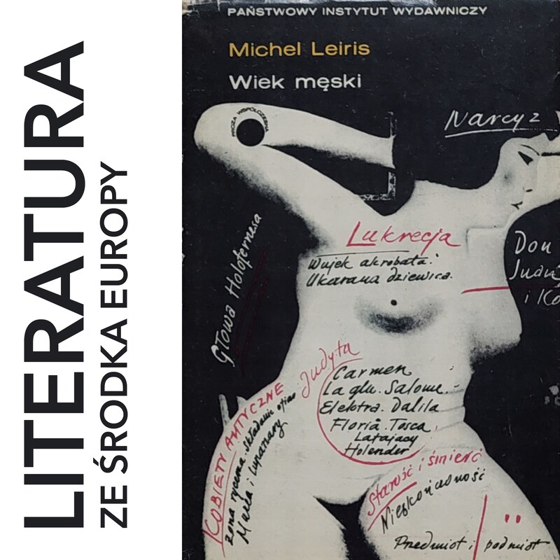 Artwork for podcast literatura ze środka Europy