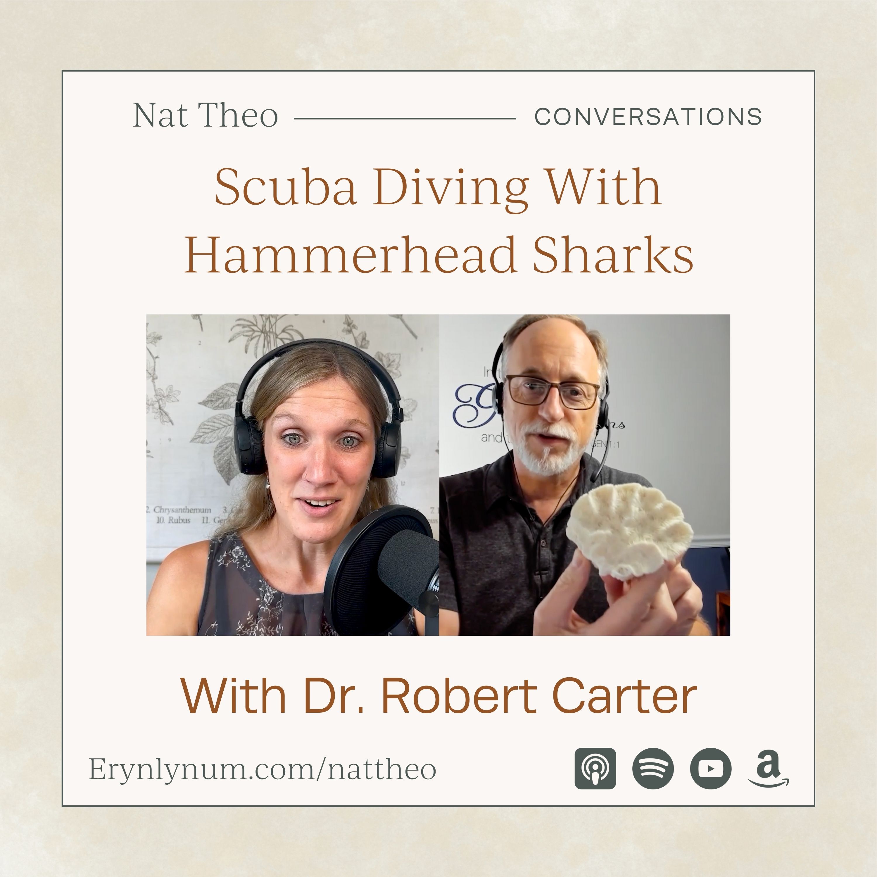 Scuba Diving With Hammerhead Sharks - With Scientist Dr. Robert Carter