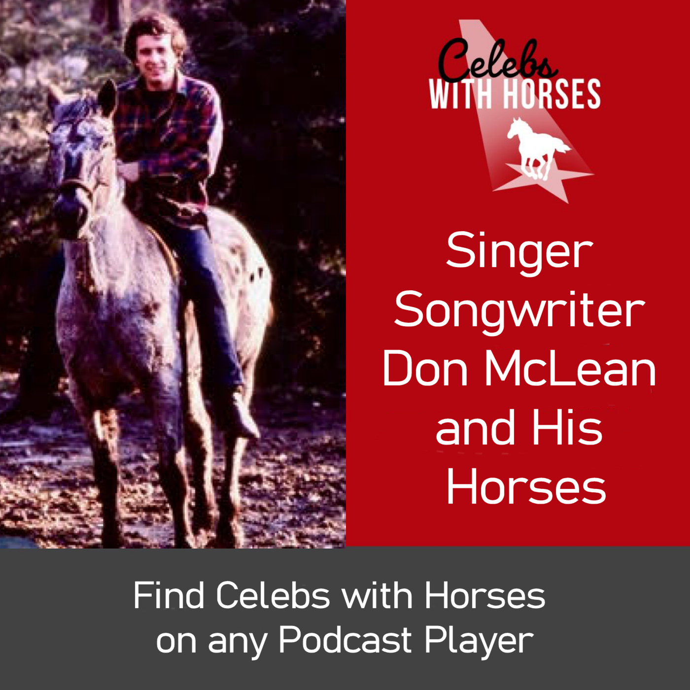 HRN Auditor Podcast