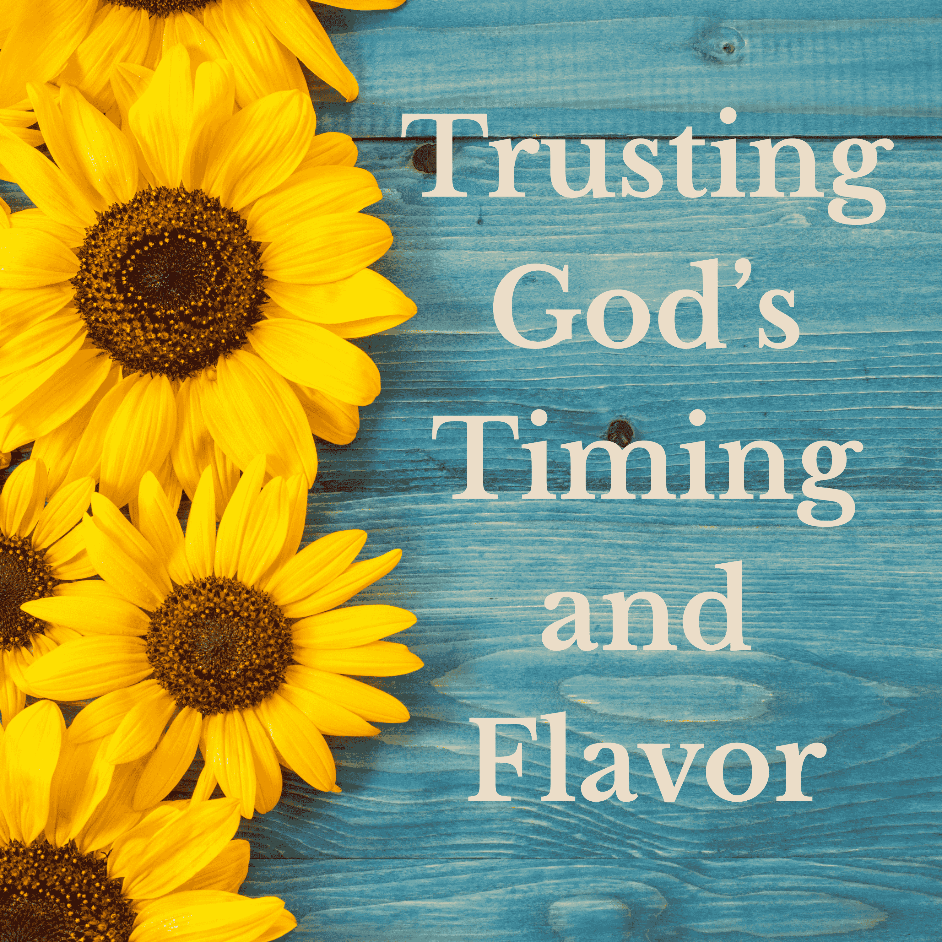 Seasoned Just for You: Trusting God’s Timing and Flavor episode artwork