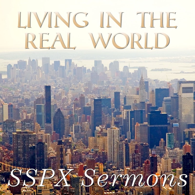 Artwork for podcast SSPX Sermons