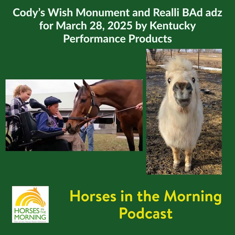 Artwork for podcast Horses in the Morning