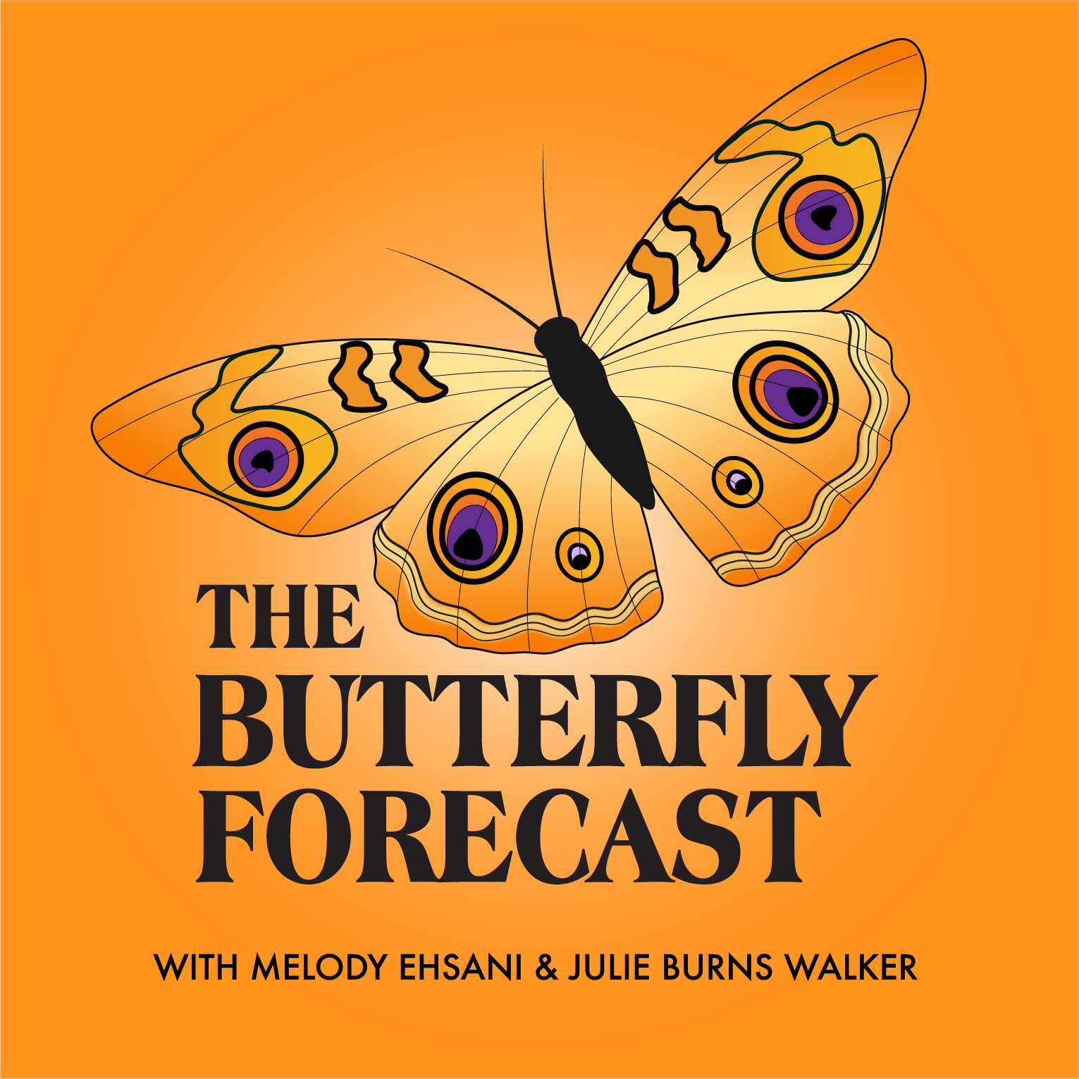 Artwork for The Butterfly Forecast