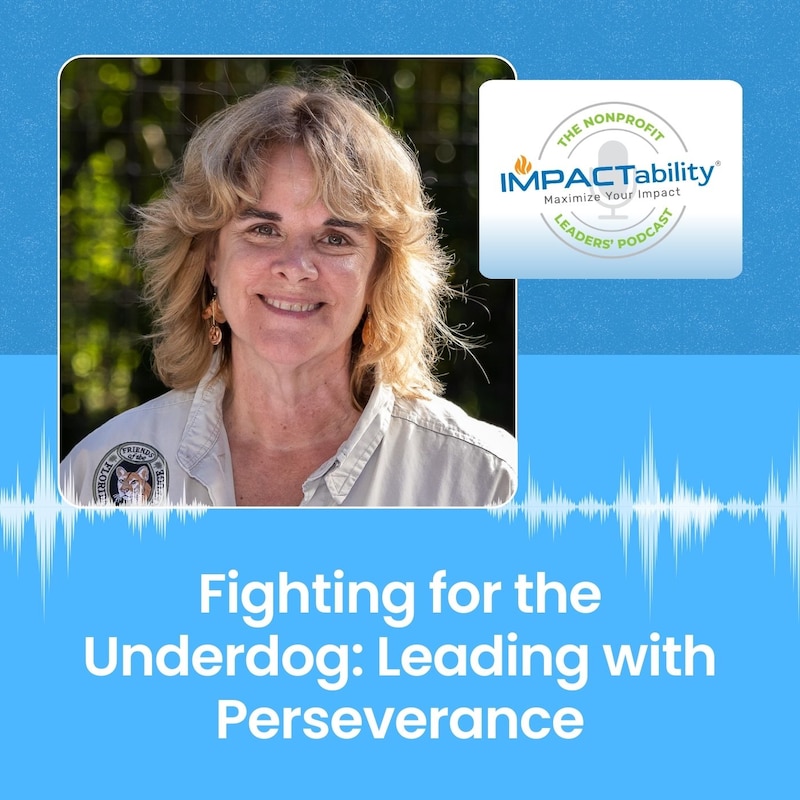 Artwork for podcast IMPACTability: The Nonprofit Leaders' Podcast