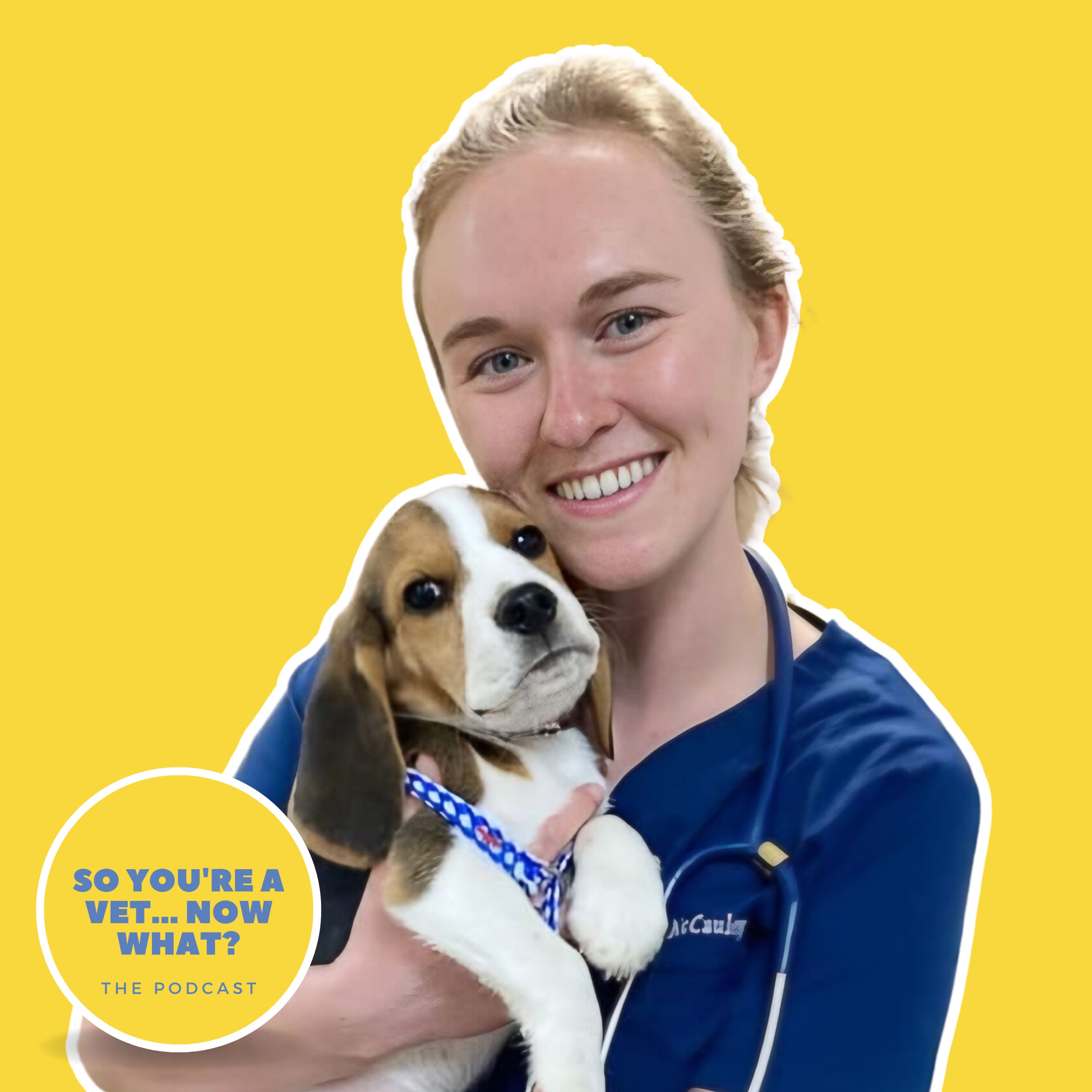 The \'So You\'re A Vet... Now What?\' Podcast