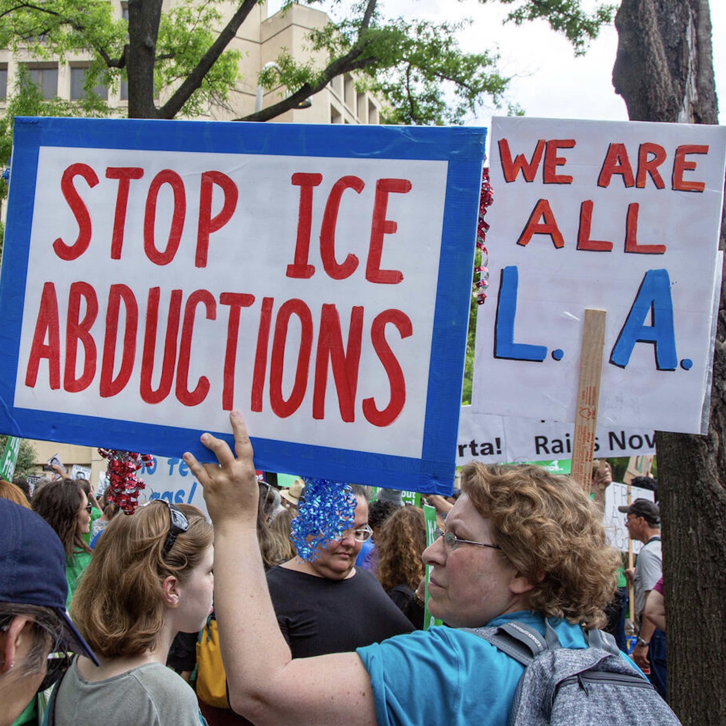 Stopping ICE in LA: Mark Rosenbaum; Epstein and Trump: Harold Meyerson; Birthright Citizenship: David Cole