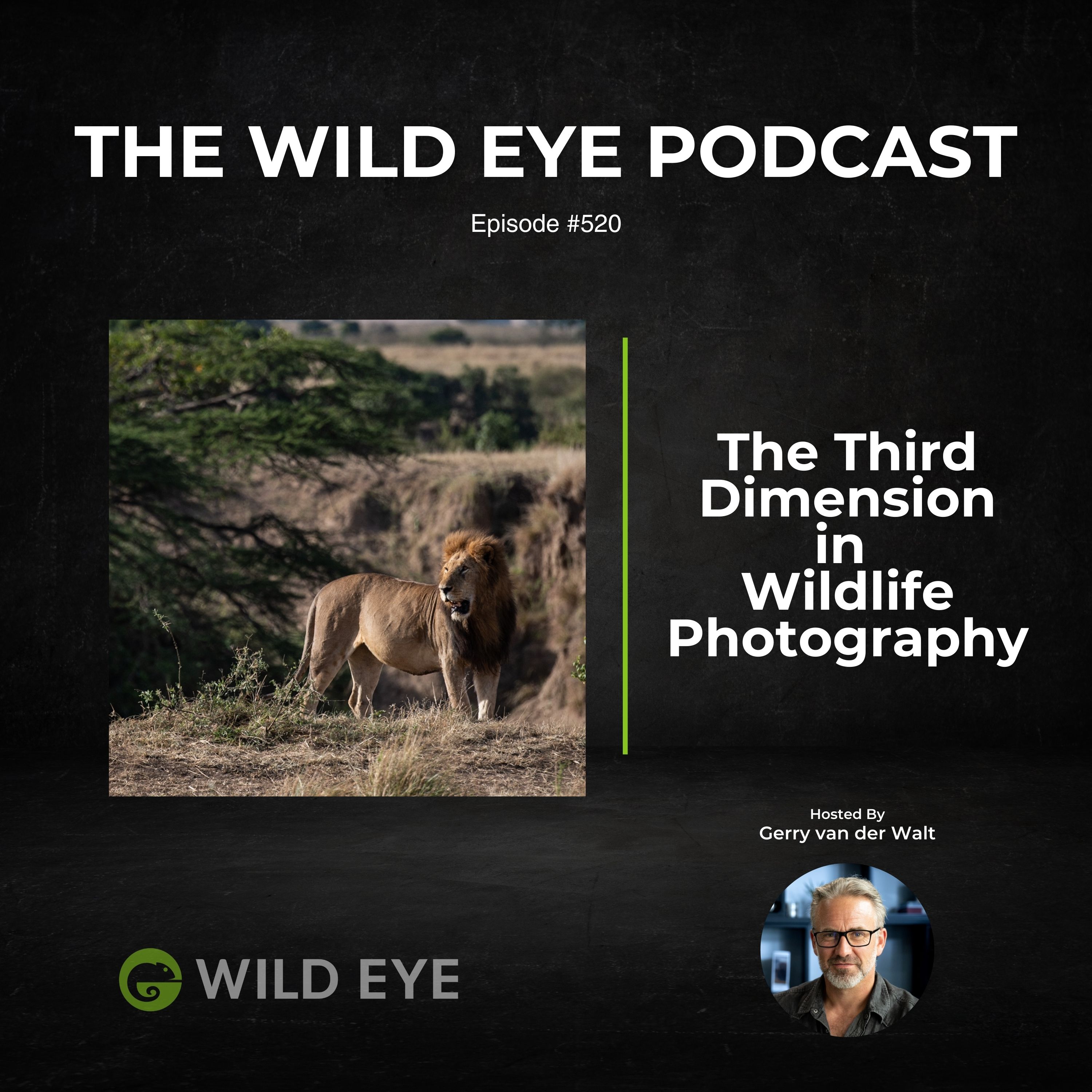 #520 - The Third Dimension in  Wildlife Photography