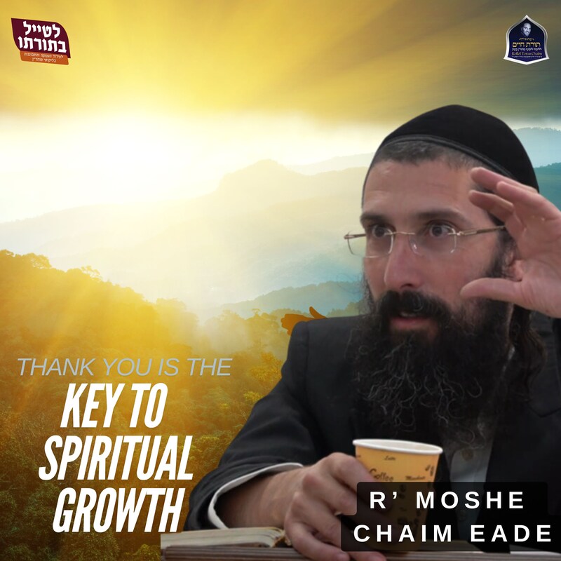 Artwork for podcast Kollel Toras Chaim All Shiurim