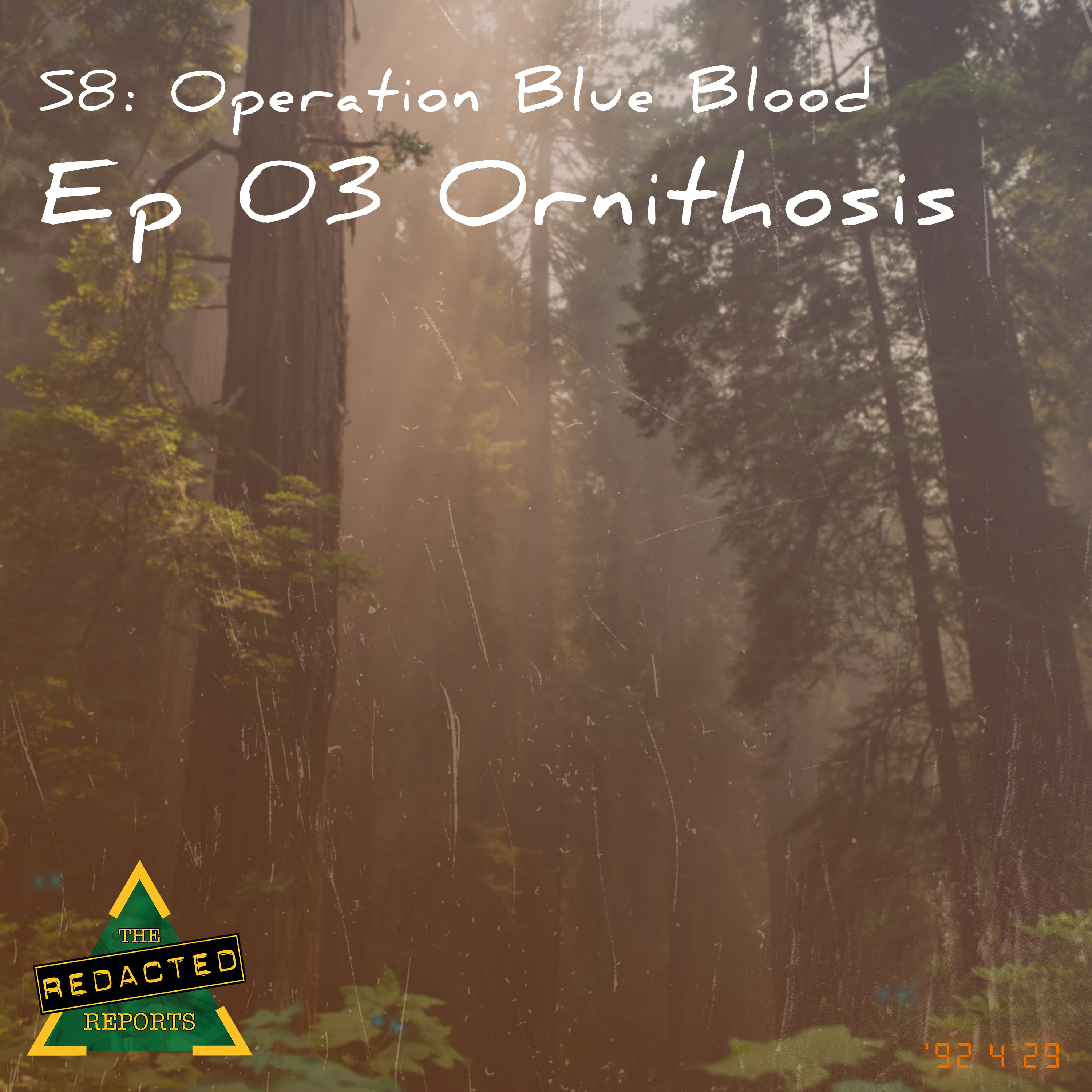 Blue Blood Episode 3 - Ornithosis