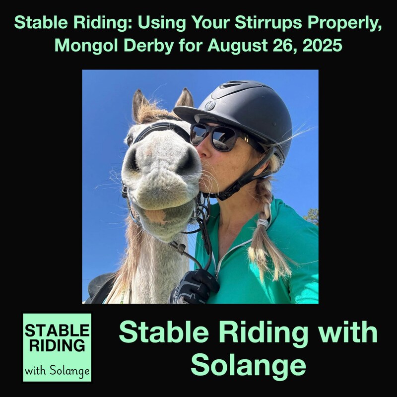 Artwork for podcast Horses in the Morning