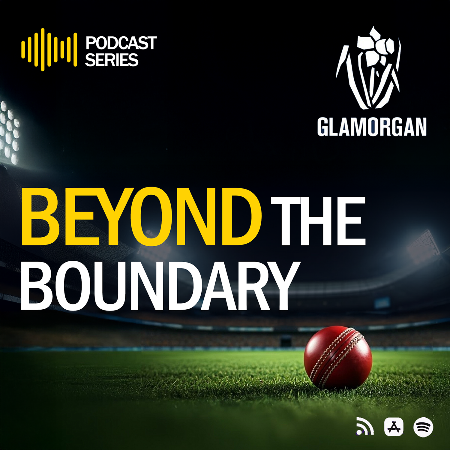 Glamorgan Cricket: Beyond the Boundary
