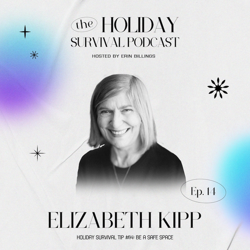 Artwork for podcast The Holiday Survival Podcast 2023