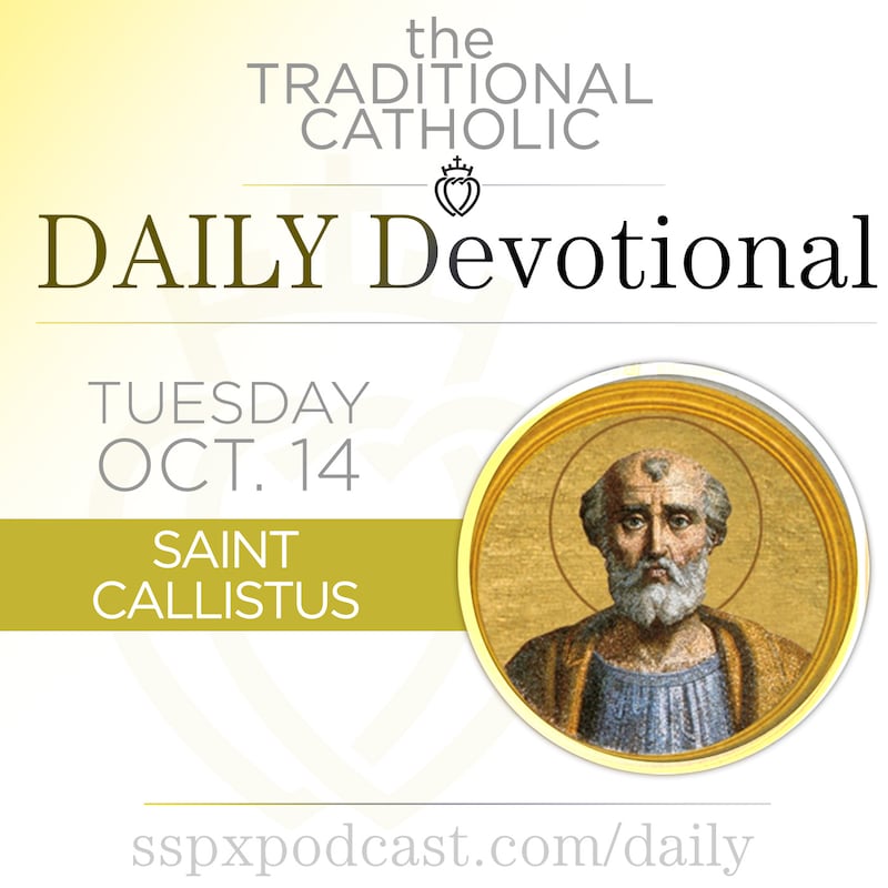 Artwork for podcast Traditional Catholic Daily Devotional