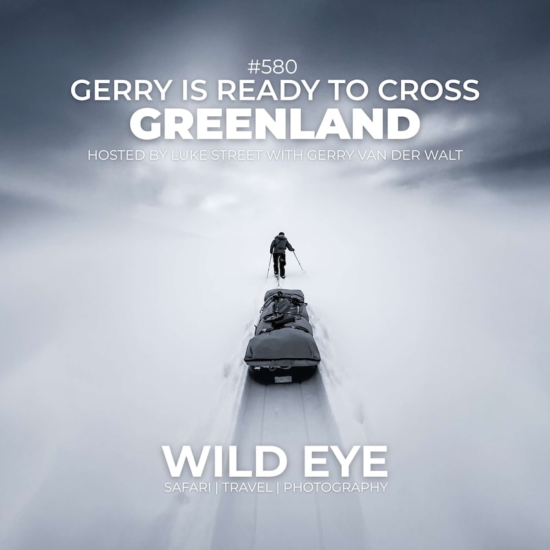 Artwork for podcast The Wild Eye Podcast