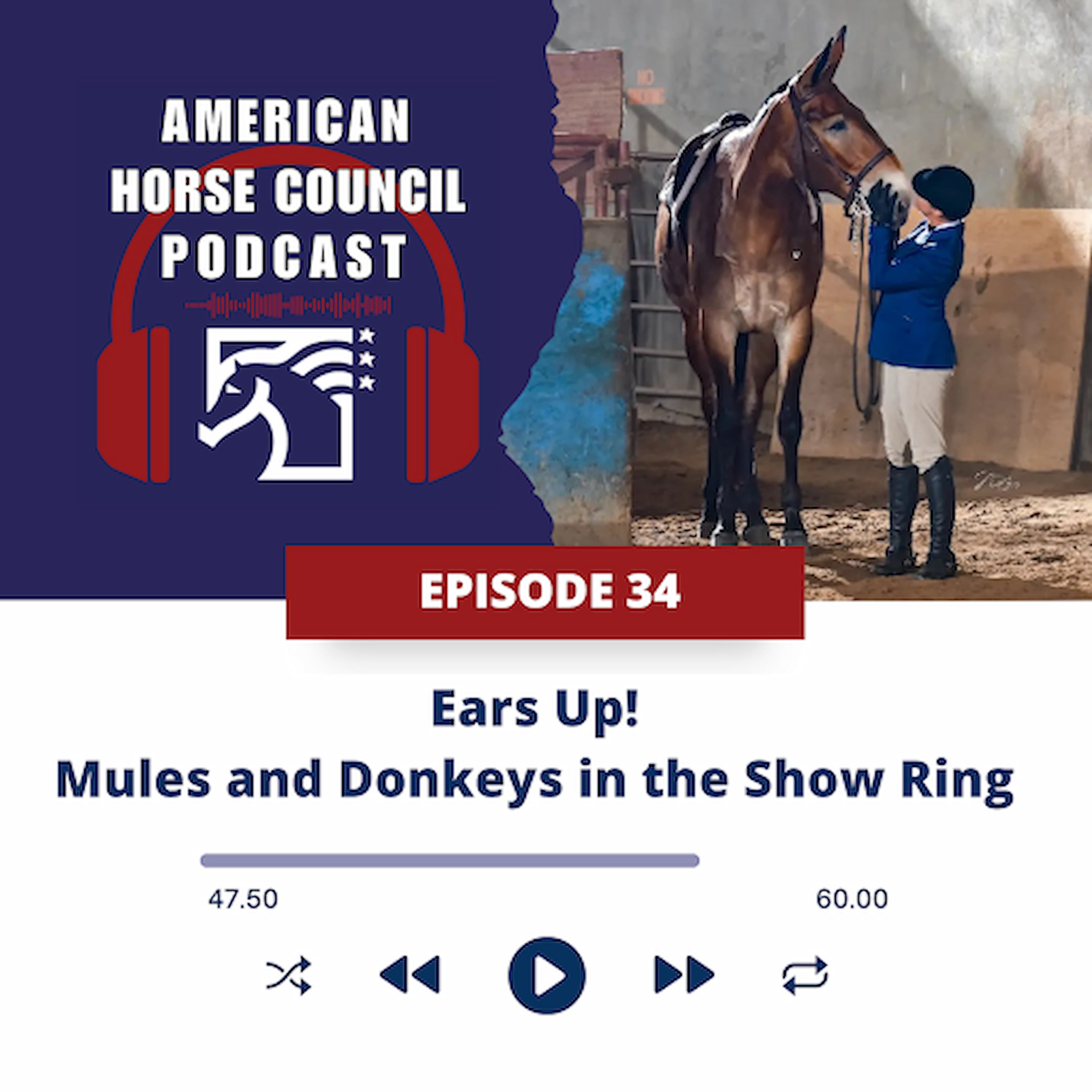 Ears up! Mules & Donkeys in the Show Ring, for February 3, 2026 - American Horse Council Podcast