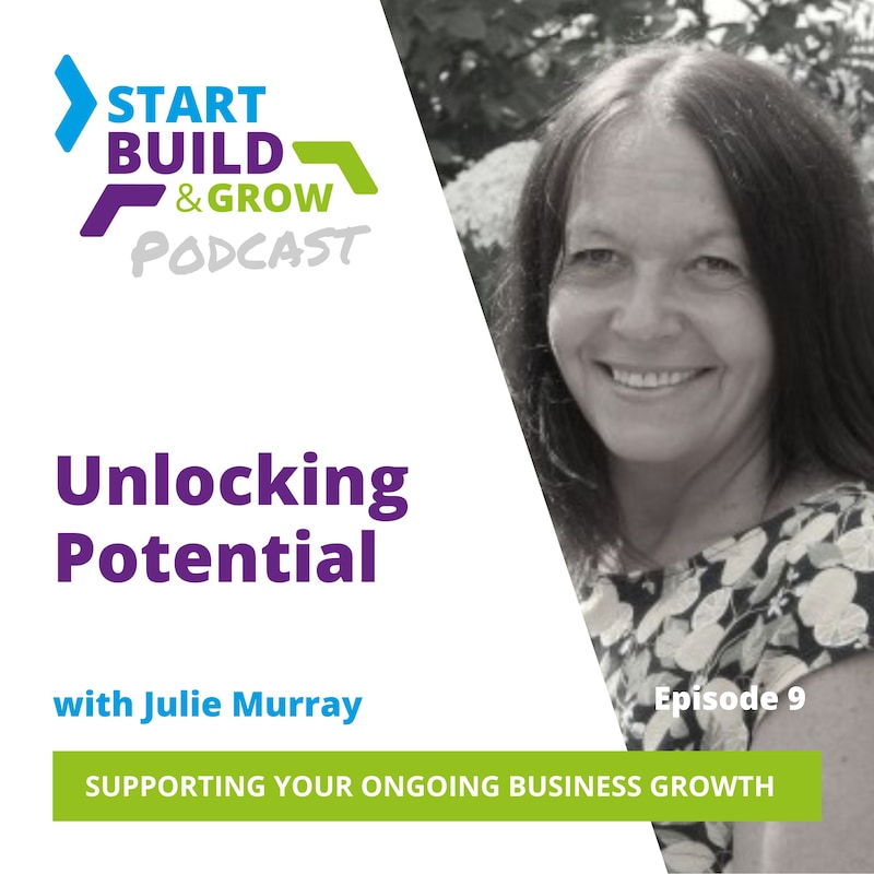 Artwork for podcast Start Build and Grow