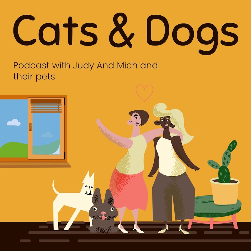 Artwork for podcast Whisker Wisdom