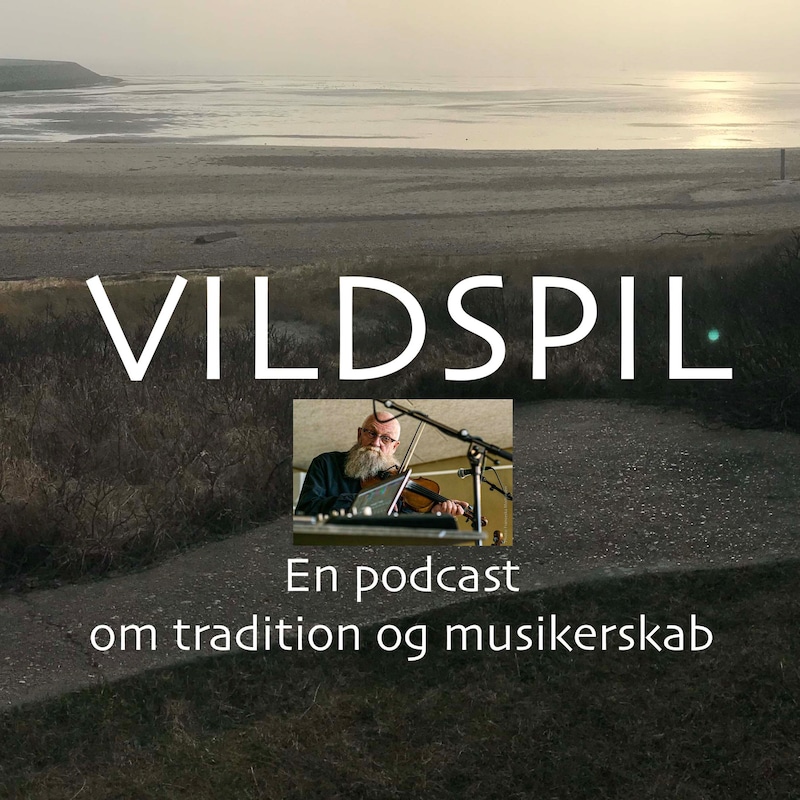 Artwork for podcast Vildspil