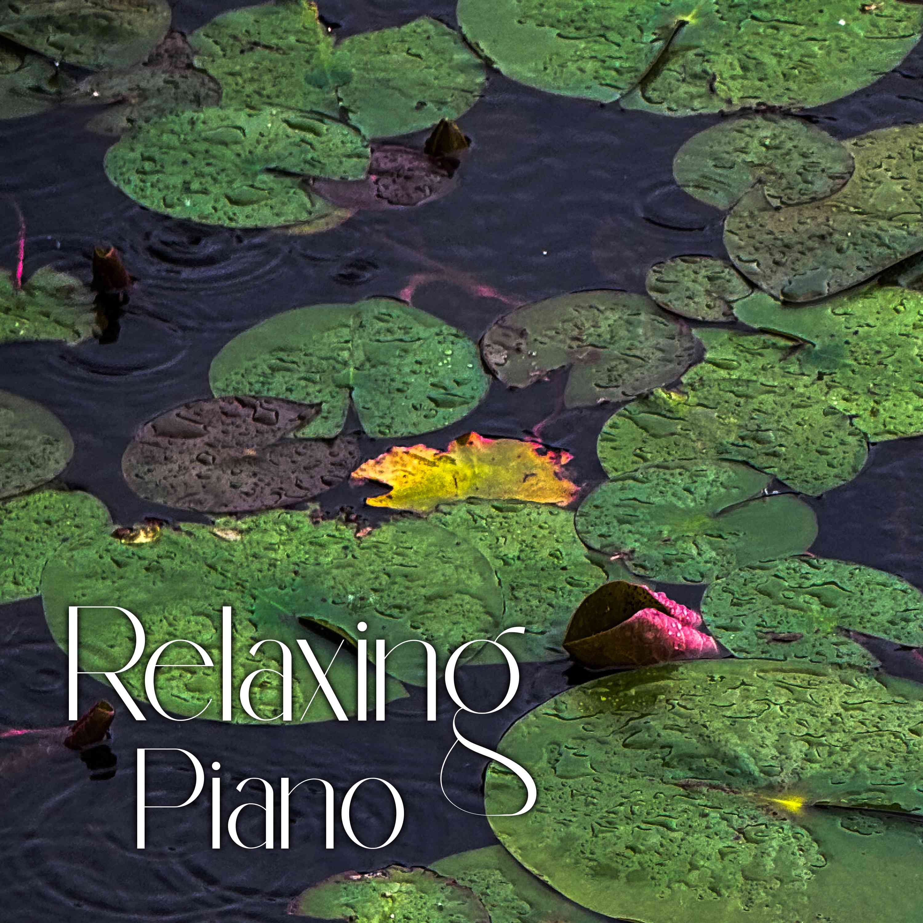 Relax and Wind Down with Piano with Gray Treefrogs - 4 Hours - "California Queen"