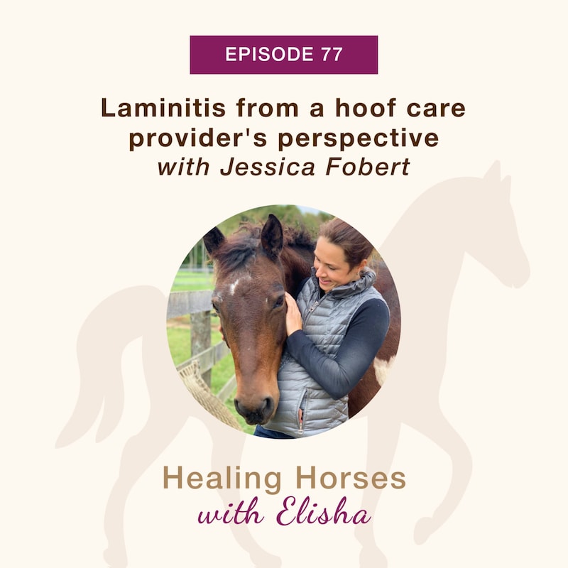 Artwork for podcast Healing Horses with Elisha