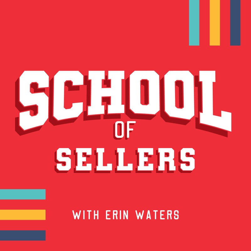 Artwork for podcast School of Sellers