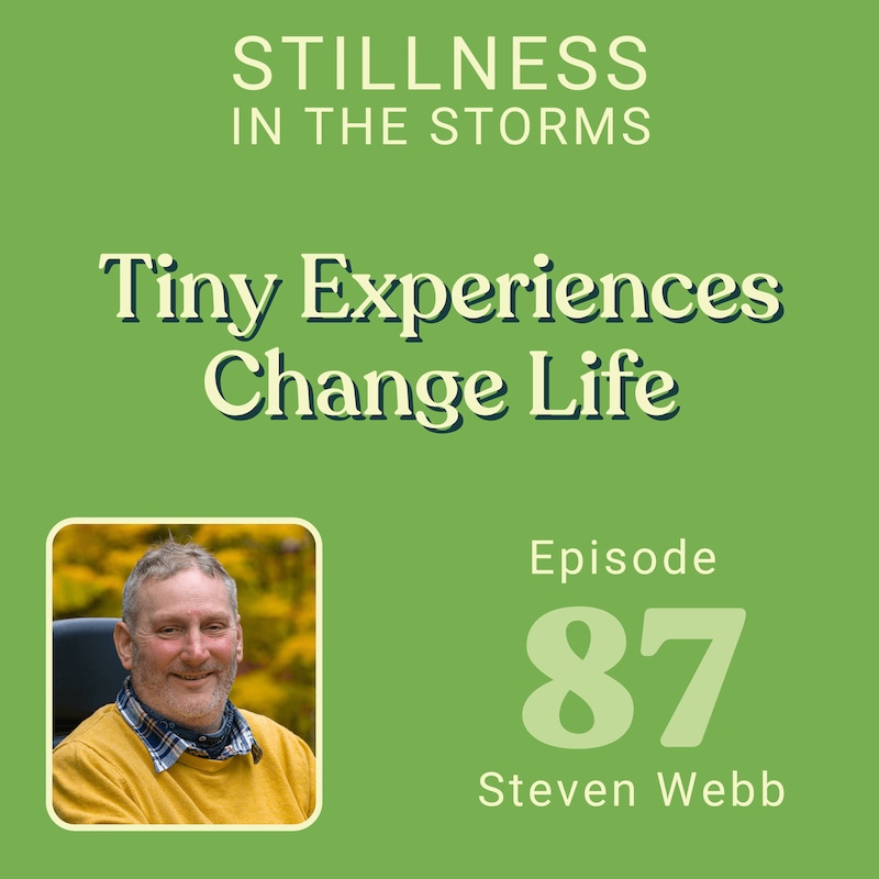 Artwork for podcast Stillness in the Storms