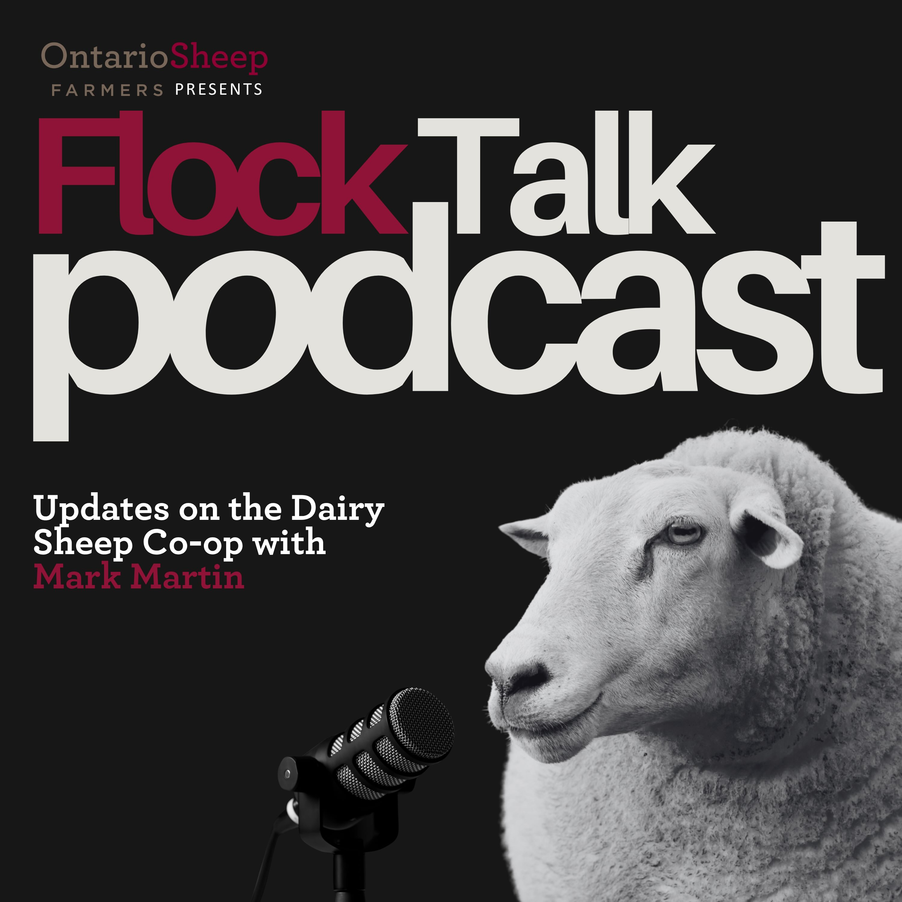 Updates on The Dairy Sheep Co-Op with Mark Martin