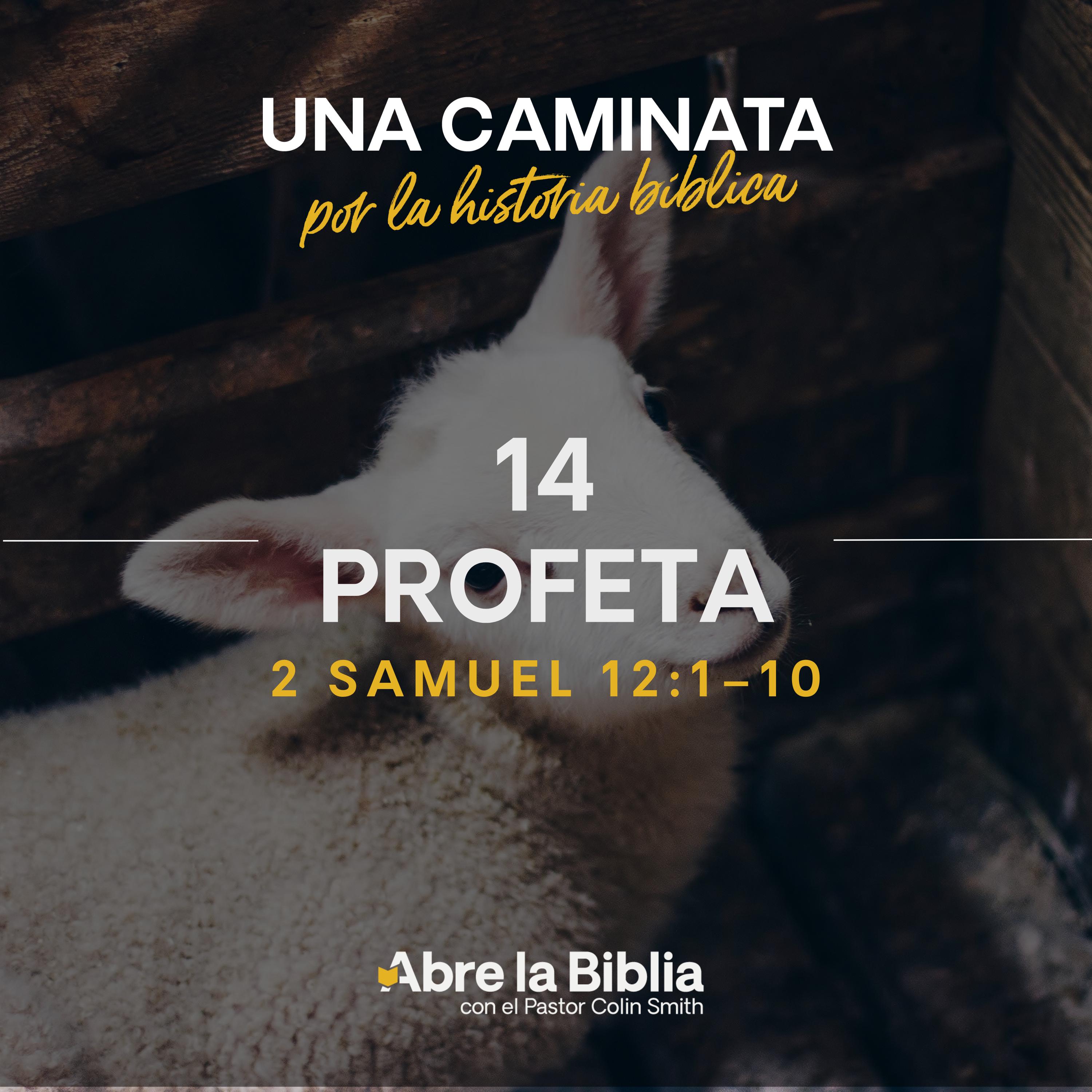 14: Profeta (2 Samuel 12:1-10) episode artwork