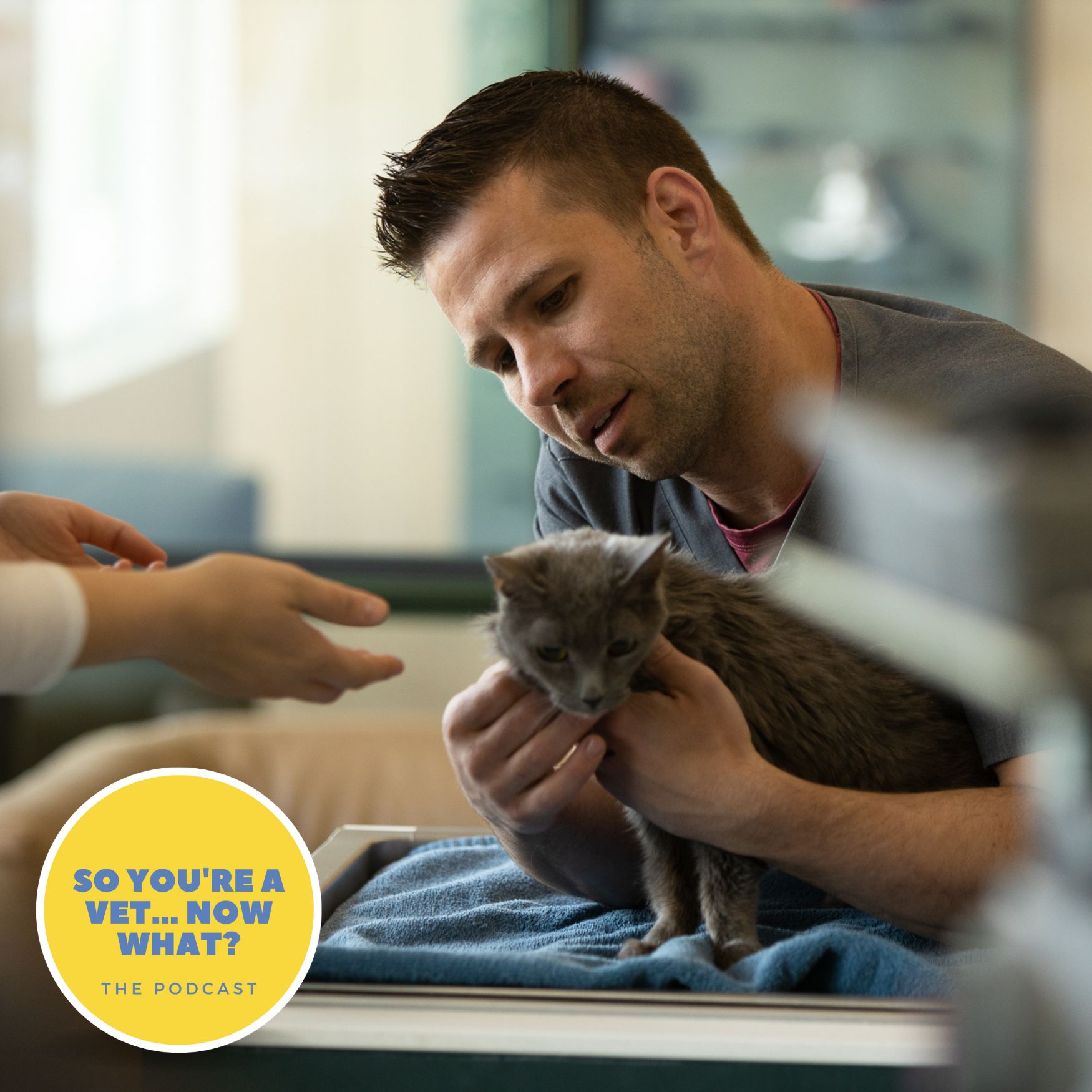 The \'So You\'re A Vet... Now What?\' Podcast