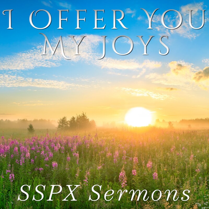 Artwork for podcast SSPX Sermons