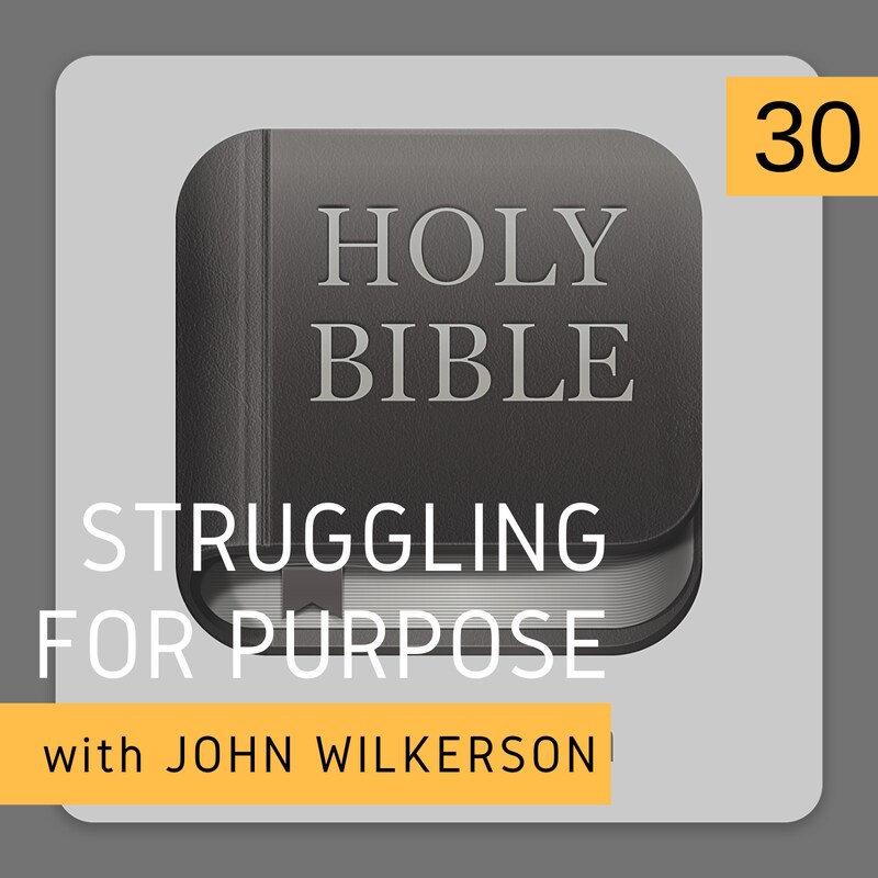 Artwork for podcast Struggling for Purpose