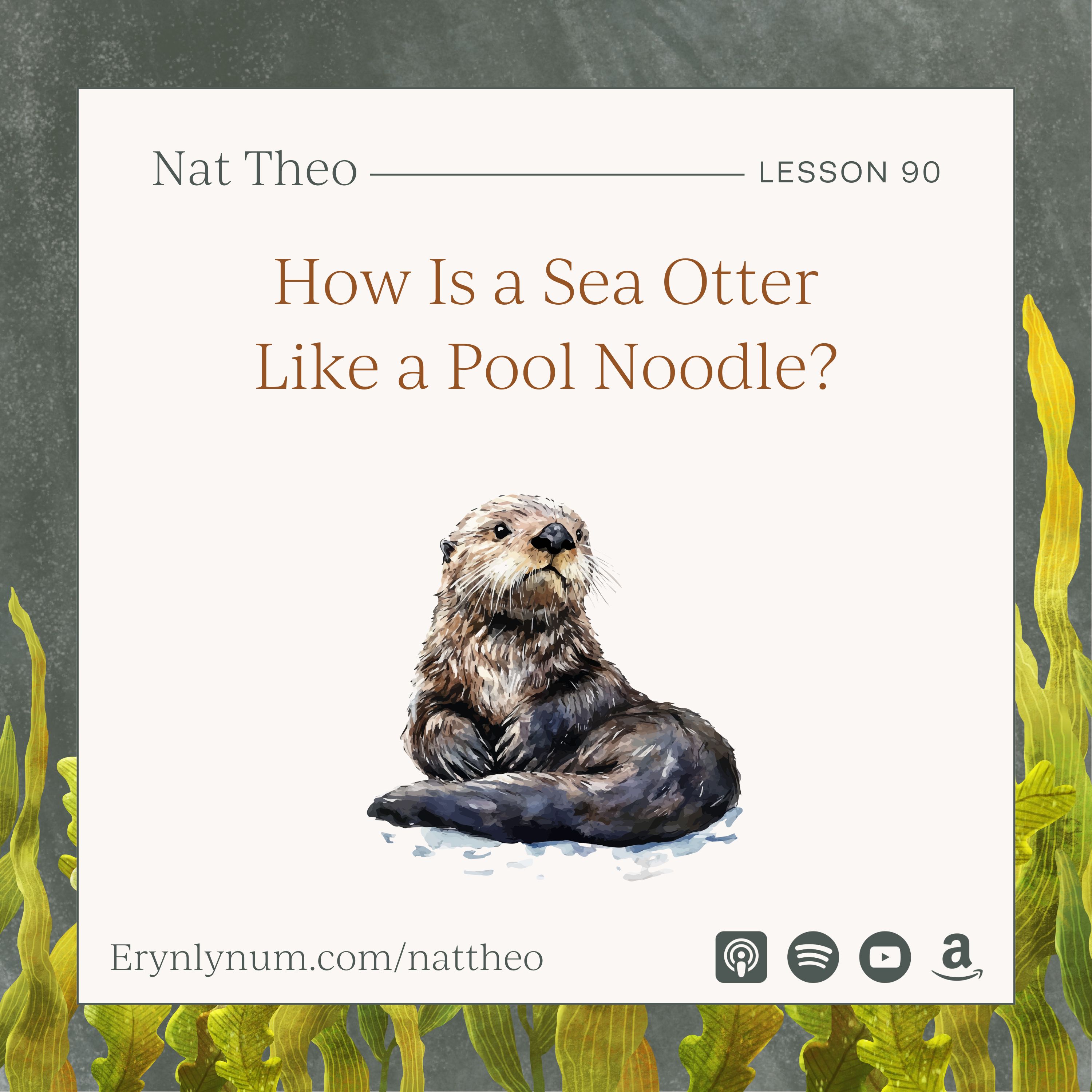 How Is a Sea Otter Like a Pool Noodle? Lesson 90