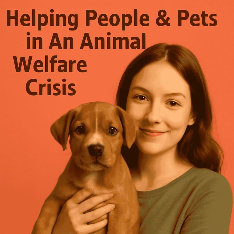 Artwork for podcast Animal Posse