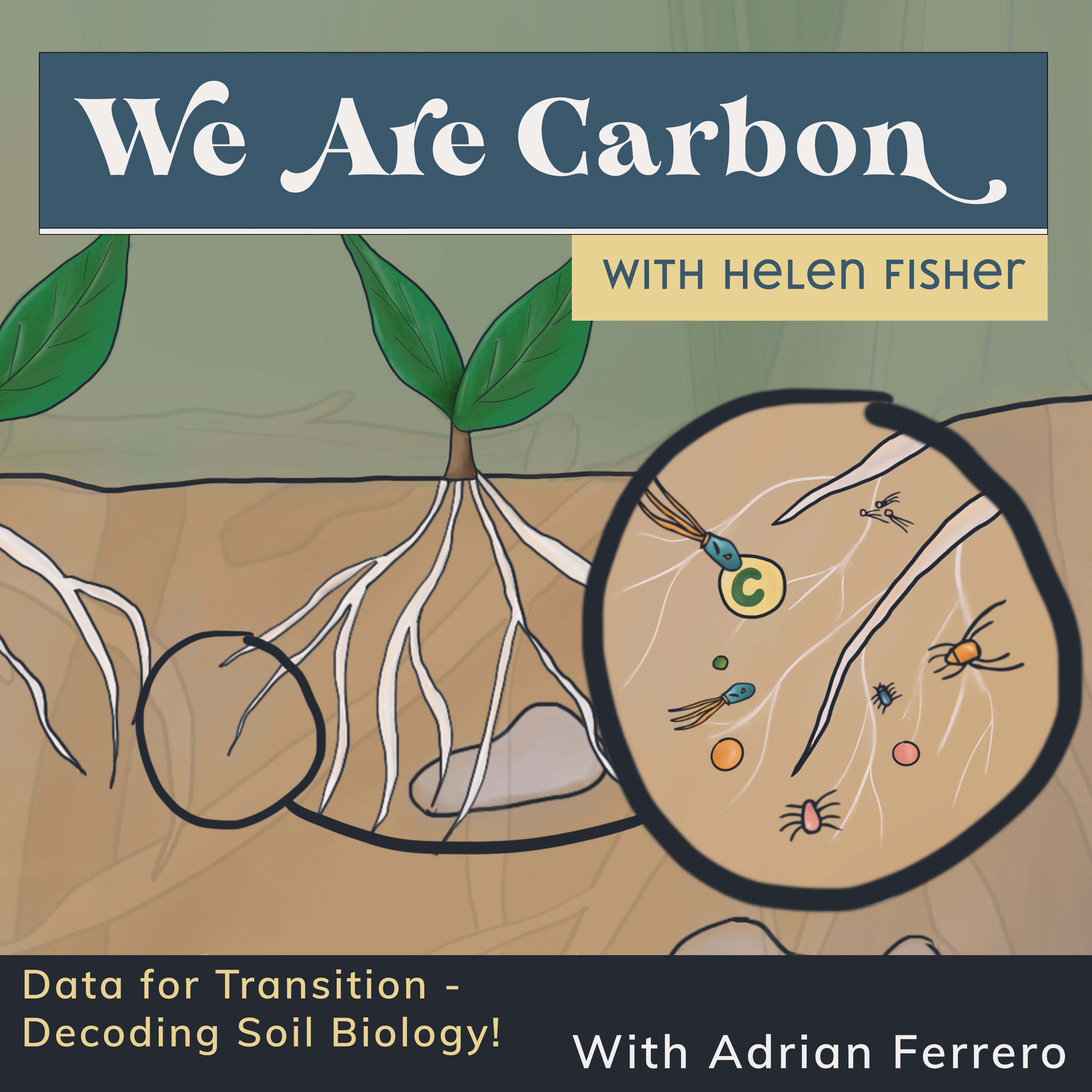 Artwork for podcast We Are Carbon