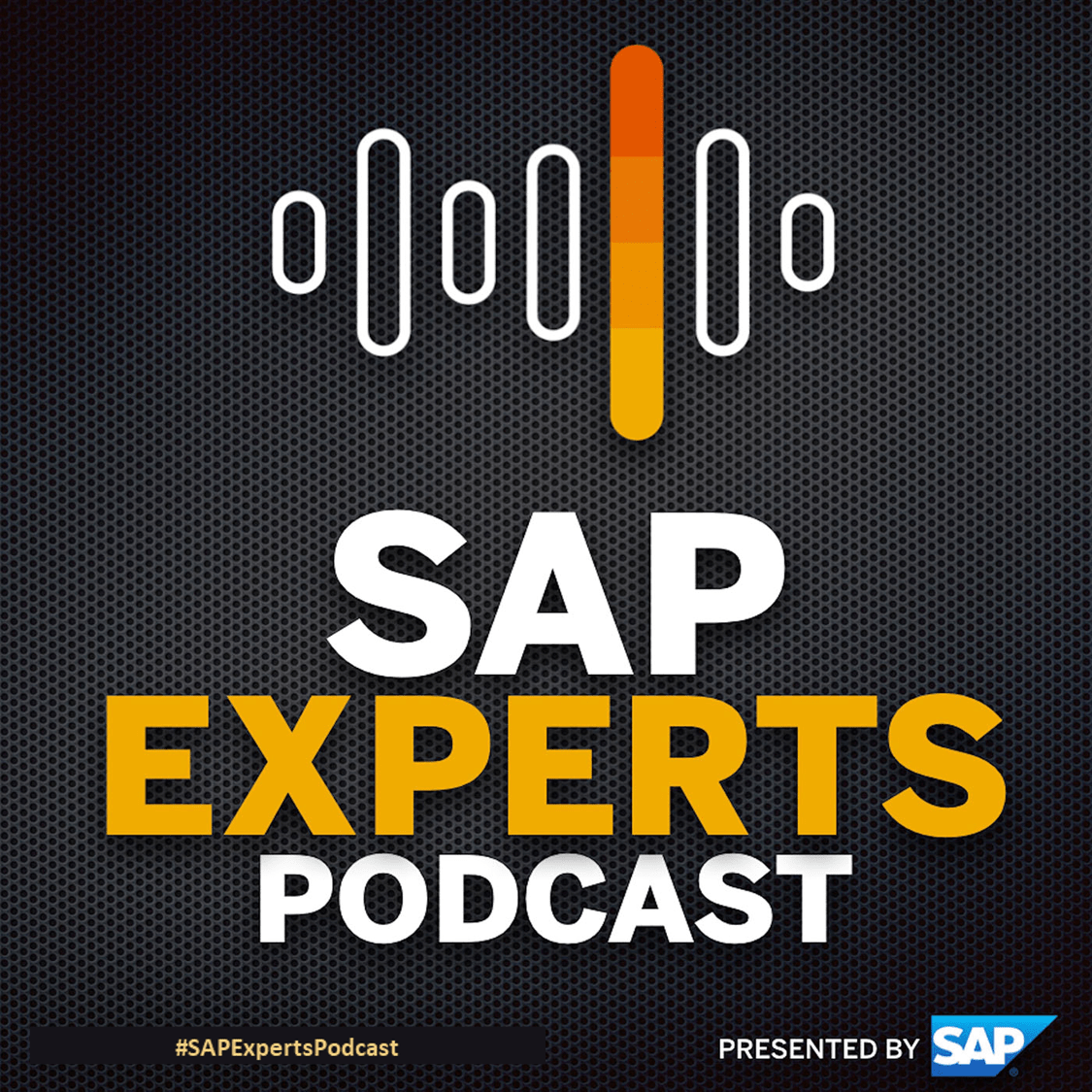 Episode 89: Veterans @ SAP Remembrance Day – Jason Duarte, Shaquille Charles & Christine Aboud episode artwork