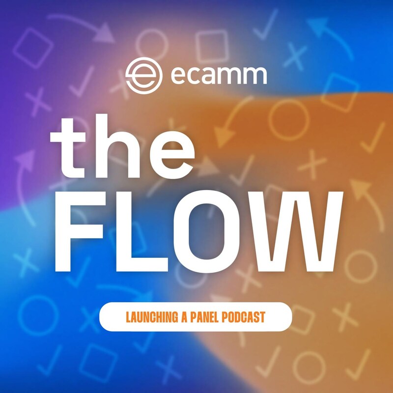 Artwork for podcast The Flow