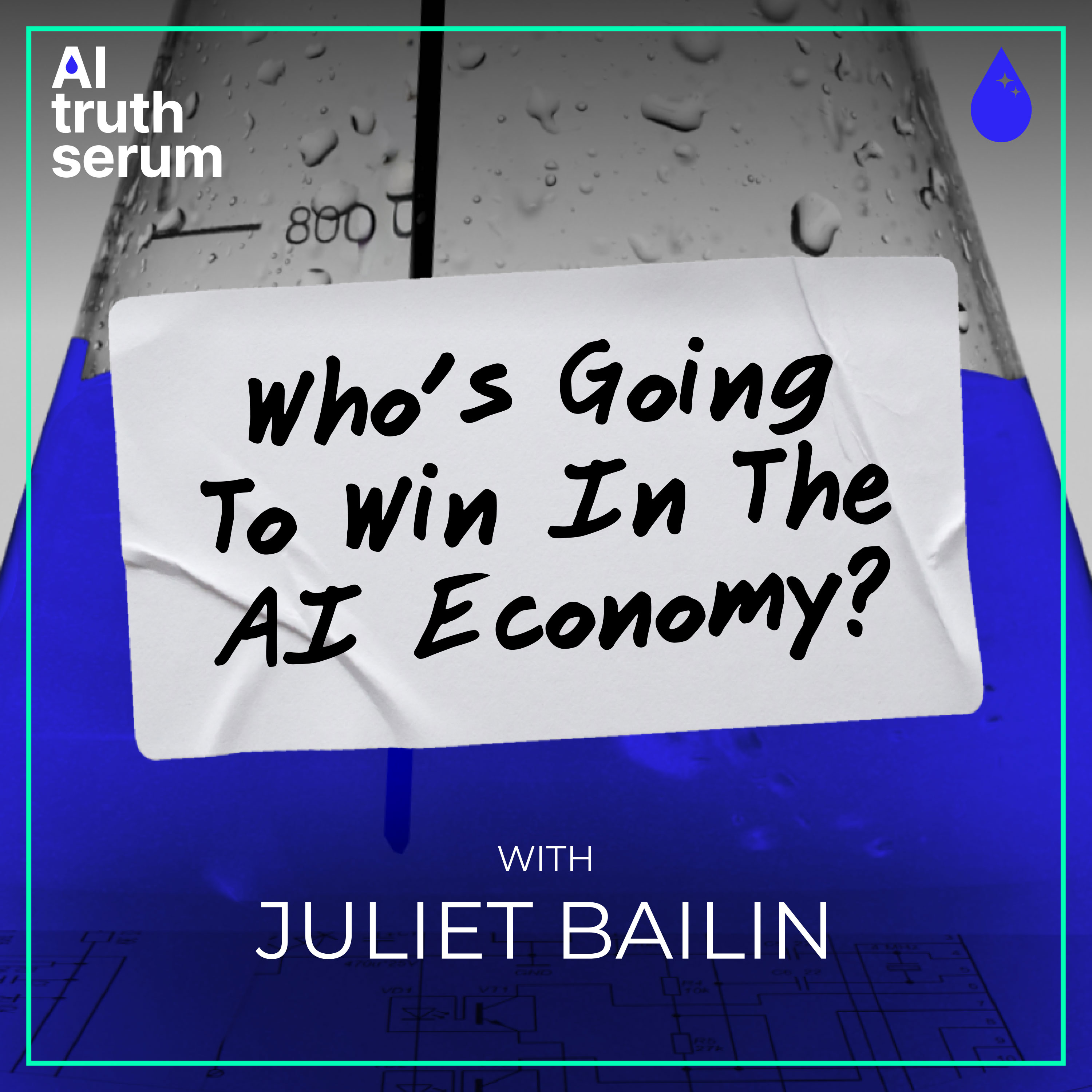 Who’s Going To Win In The AI Economy? with Juliet Bailin episode artwork
