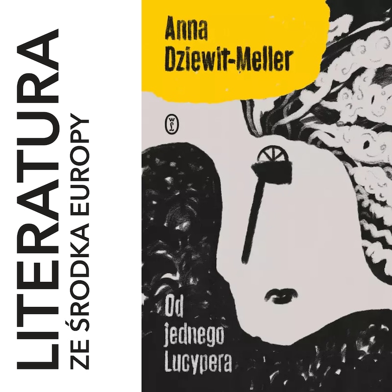 Artwork for podcast literatura ze środka Europy