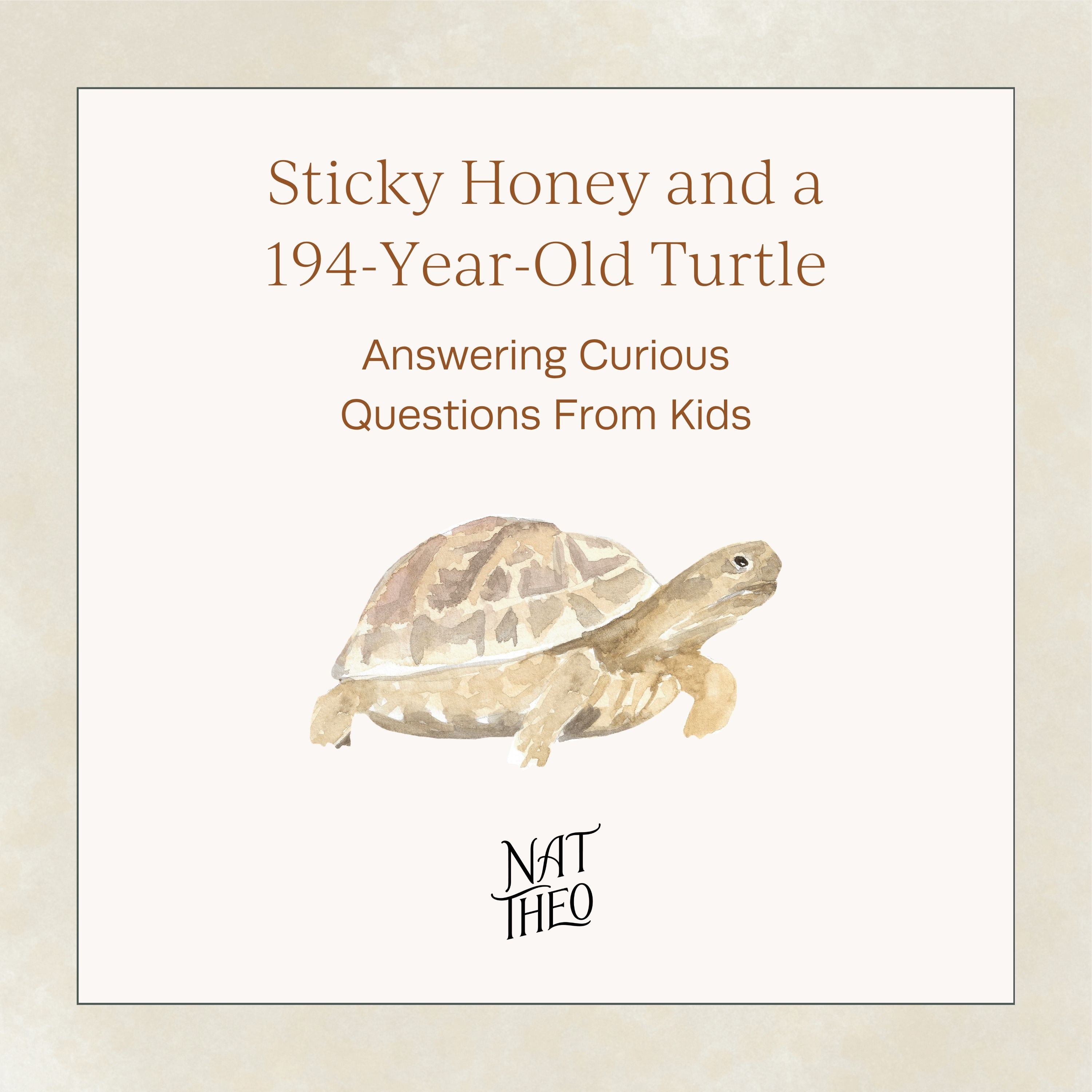Sticky Honey and a 194-Year-Old Turtle - Answering Curious Questions From Kids